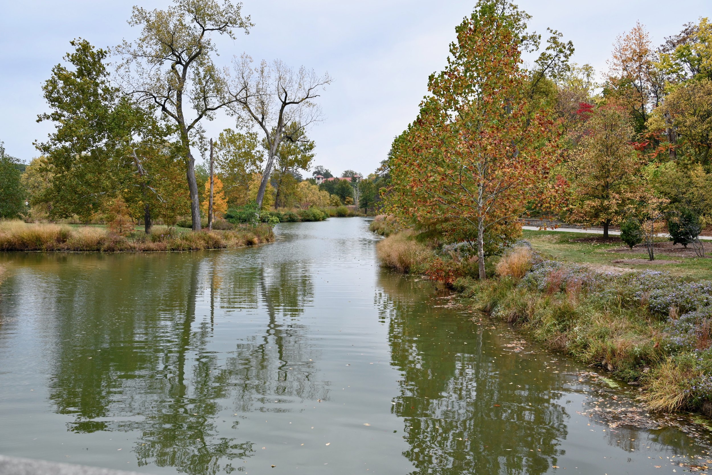 Forest Park lagoon in autumn, St. Louis